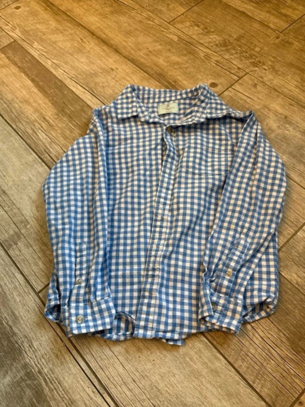Class Club Blue & White Gingham Button-Down Shirt